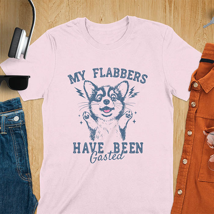 A light pink t-shirt with a bewildered corgi with its paws up. Text: MY FLABBERS above and HAVE BEEN GASTED below. This sarcastic tee-shirt features kawaiiness cuteness, a genz meme tee. A depress meme and anxiety tshirt, a funny gag gift. One of those shirts that go hard, a weirdcore memes and sad core aesthetic. A mom gift alternative.
